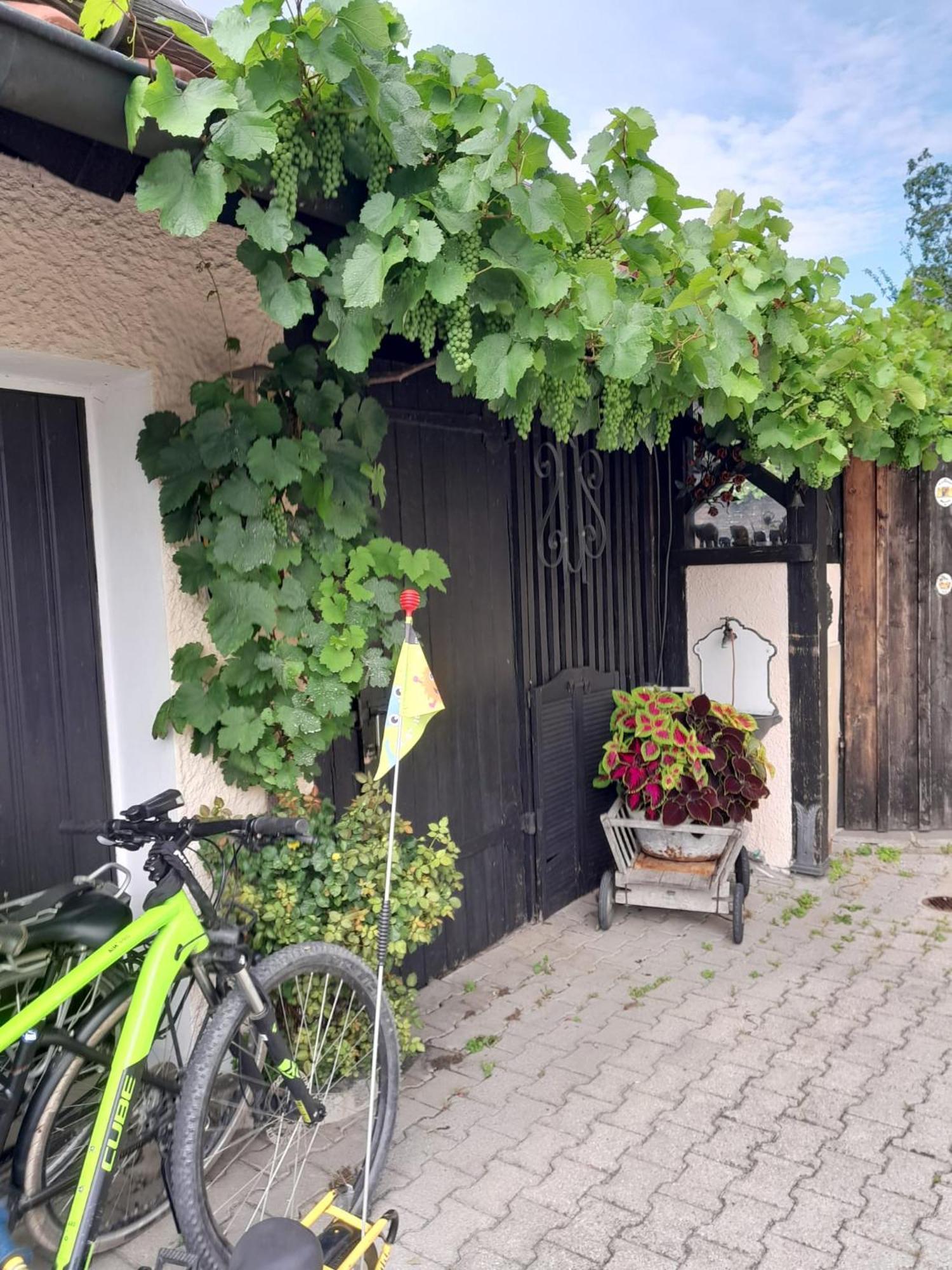 Ferienhaus Resch Laufen Bagian luar foto