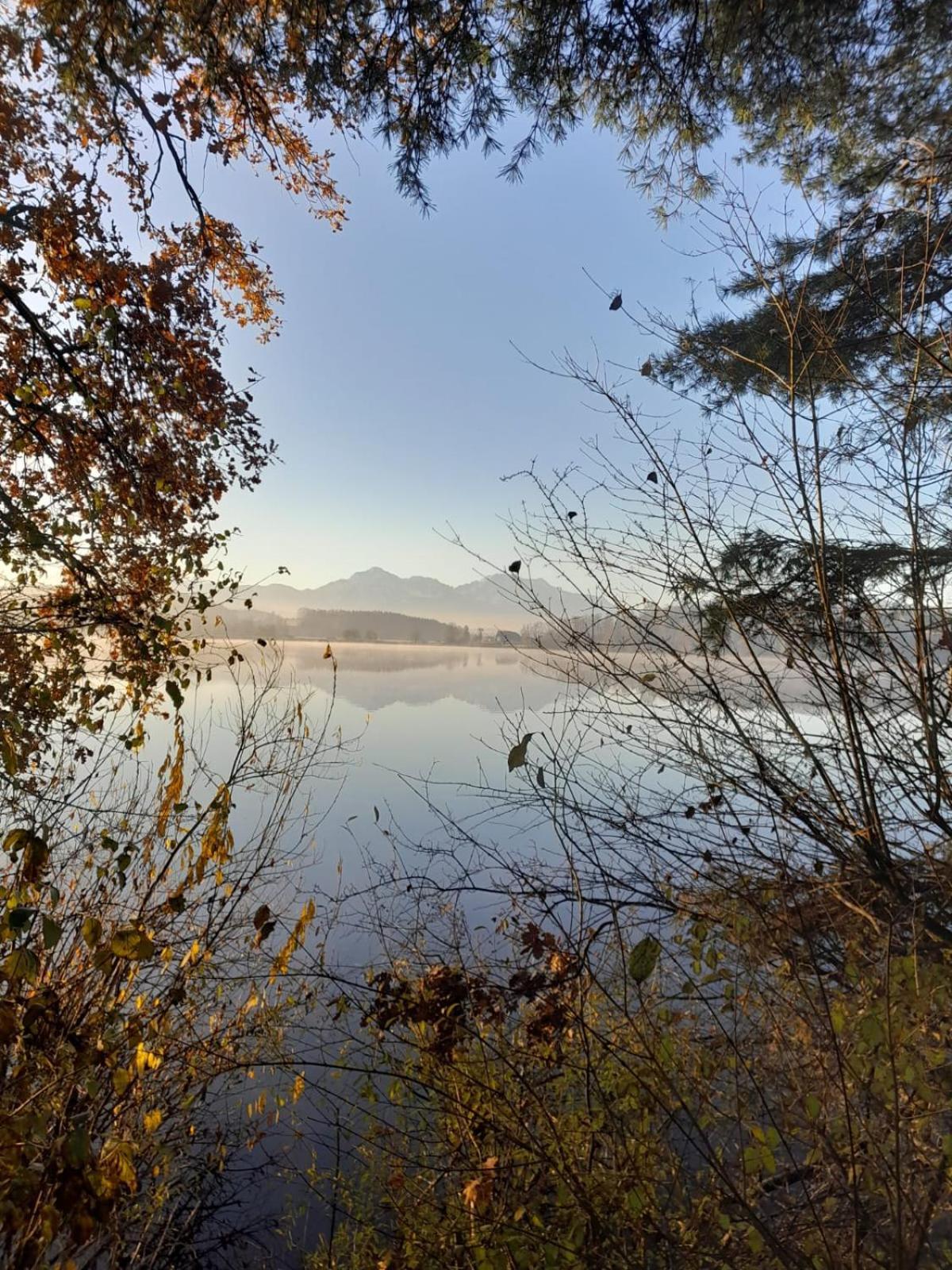 Ferienhaus Resch Laufen Bagian luar foto